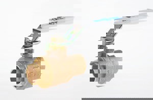 LF 2 BRZ SS 600# SWT FP BV